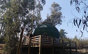 Domos y Cabañas Algarrobo